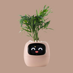 Tuya Ivy smart planter