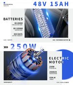 DUOTTS C29 Electric Mountain Bike