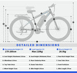 DUOTTS C29 Electric Mountain Bike