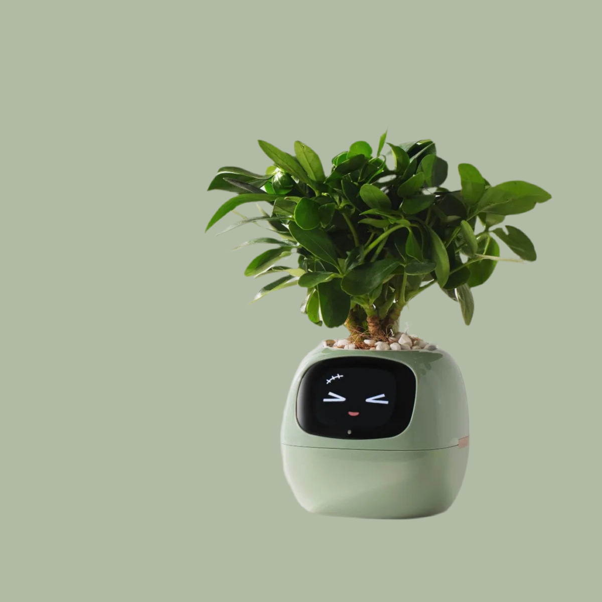 Tuya Ivy smart planter