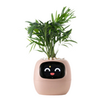 Tuya Ivy smart planter