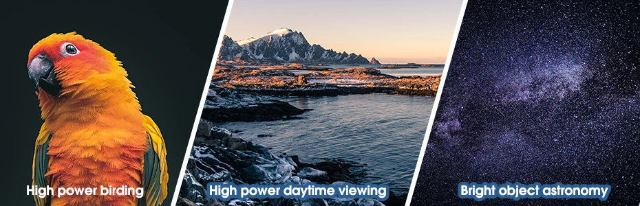 SVBONY Telescope SA203 12x50 Binoculars Professional Powerful BAK4 IPX7 Waterproof Camping Equipment for Birdwatching Stargazing