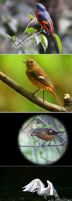 Professional Astronomical Telescope F30070 F36050 Monocular High Power 150x Zoom Portable with Tripod for Moon Stars Watching