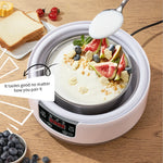 Electric Mini Yogurt Maker Automatic Multifunctional Yogurt Machine Kitchen Rice Wine Maker Natto Fermenting Machine Household