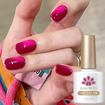 BORN PRETTY 10ml Silver Water Light Cat Magnetic Gel Nail Polish Nail Supplies Vernis Semi Permanent Gel for Fall Winter Nails