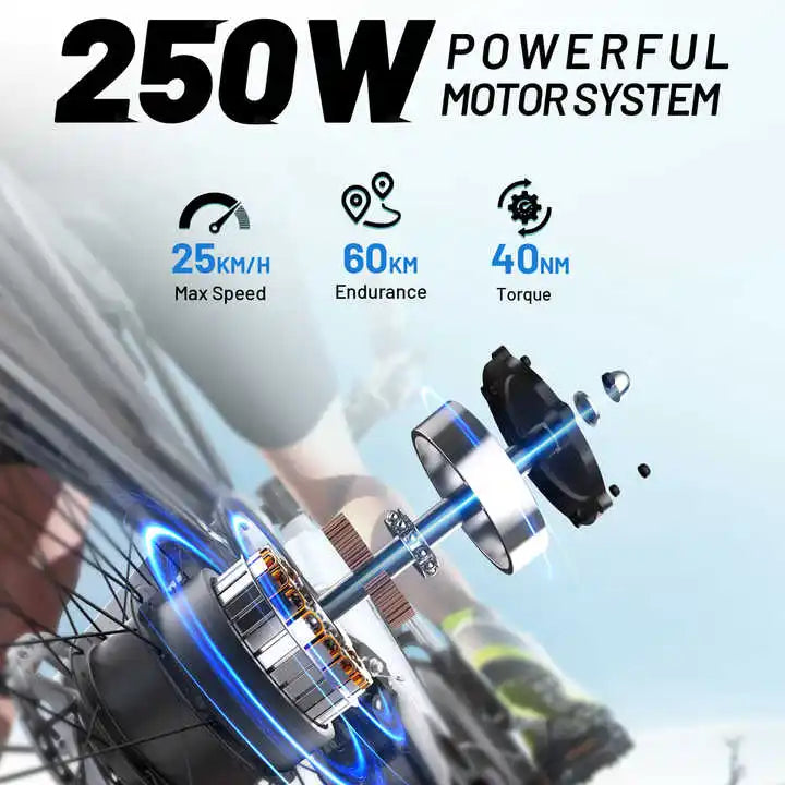 Electric Bike 27.5 Inch 250 W