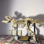 3145pieces Dinosaur Park Fossils Building Blocks Set Adults Assembled Bricks Model Toy Birthday Gifts Compatible With Set 76968