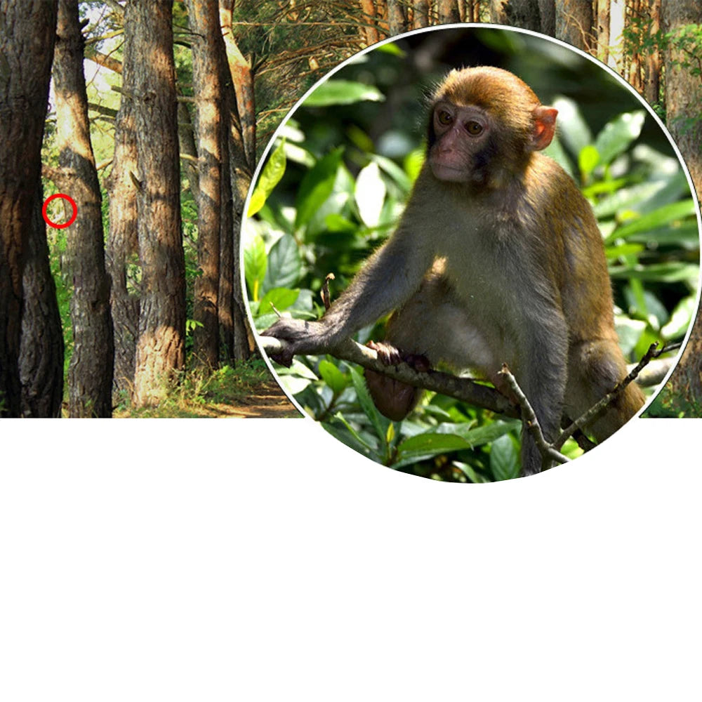 Outdoor High-Power Portable 30×40mm Retro Pirate Monoculars Telescope for Adults Kids Bird Watching Hunting Camping Hiking