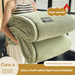 Plush Warm Winter Blanket A Grade Coral Fleece Flannel Soft Thick Bed Blankets for Sofa Single Double Couple Furry Bedspread
