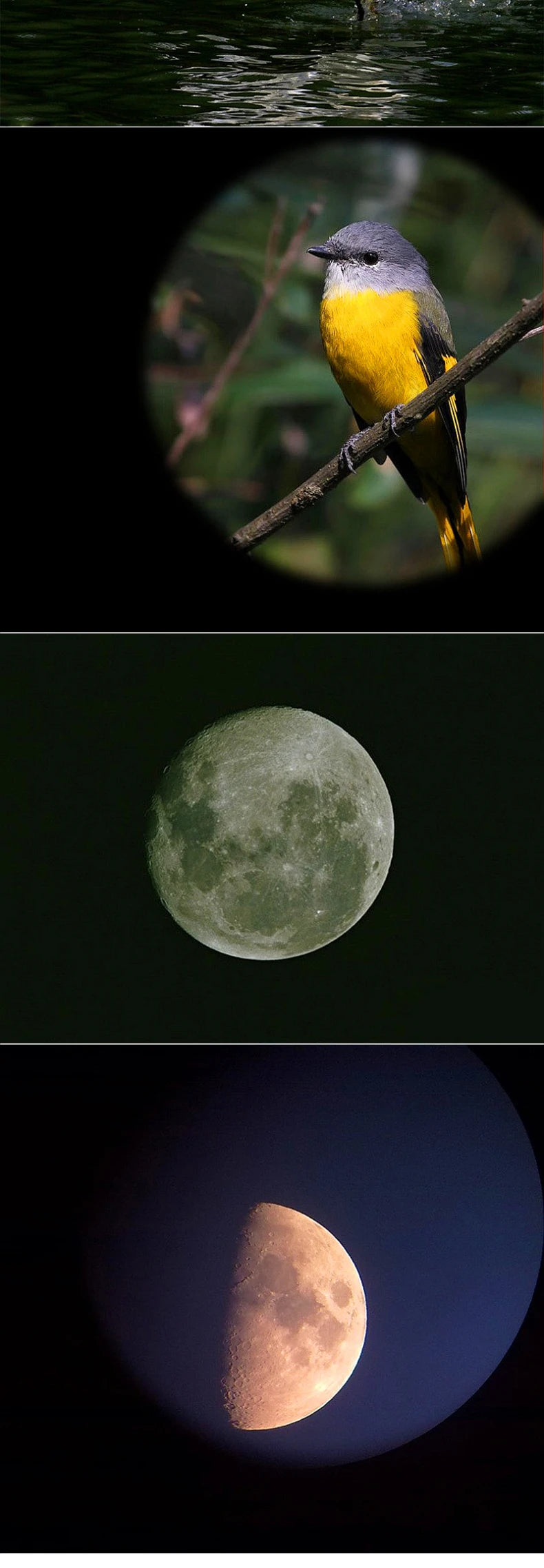 Professional Astronomical Telescope F30070 F36050 Monocular High Power 150x Zoom Portable with Tripod for Moon Stars Watching