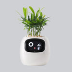 S5e900550d9bd4be29666657be074cc695