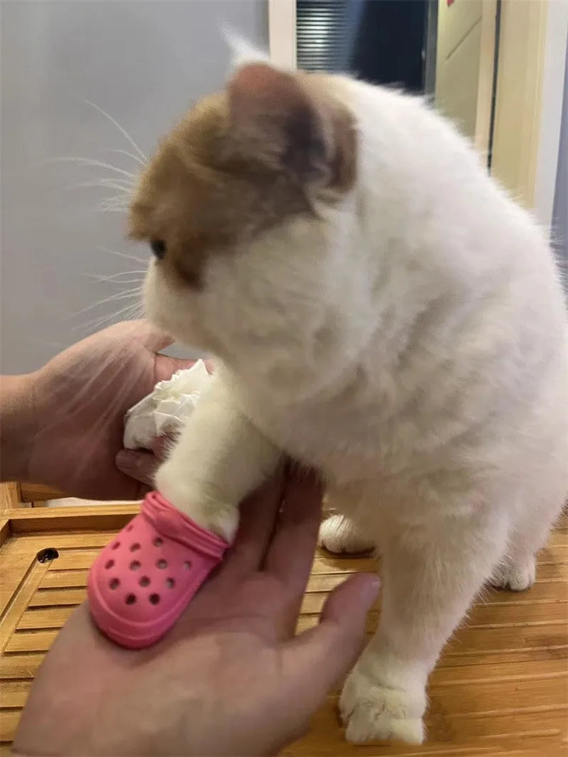 7 CM Doll Shoes Sandal For 43 CM Born Baby Doll Clothes Accessories 18 Inch American Doll Girl‘s Toys Our Generation Gift