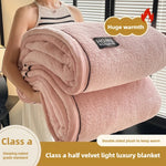 Plush Warm Winter Blanket A Grade Coral Fleece Flannel Soft Thick Bed Blankets for Sofa Single Double Couple Furry Bedspread