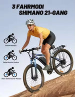 DUOTTS C29 Electric Mountain Bike