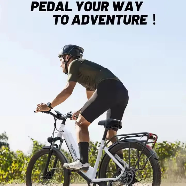 Electric Bike 27.5 Inch 250 W