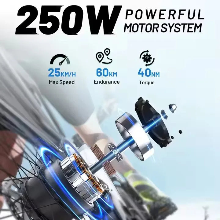 Electric Bike 27.5 Inch 250 W