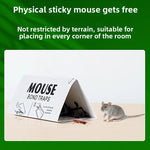 Indoor Strong Adhesive Fly, Mouse, Cockroach, and Ant Trap with Bait High-Efficiency Catcher