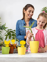 S7fd3b8fa72aa43958d62cb842be66c969