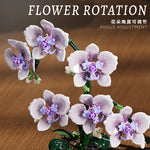 619PCS Phalaenopsis Building Blocks Flowers Orchid Potted Plants Simulation Model Home Decor Kids Puzzle Toy Girls Birthday Gift