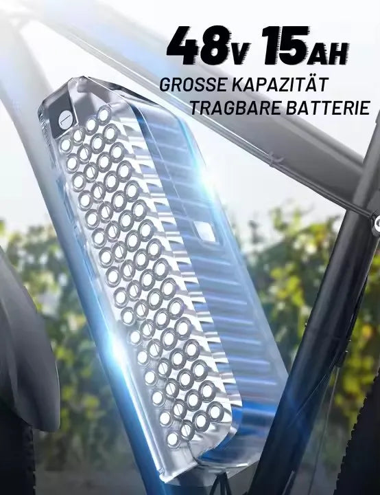 DUOTTS C29 Electric Mountain Bike