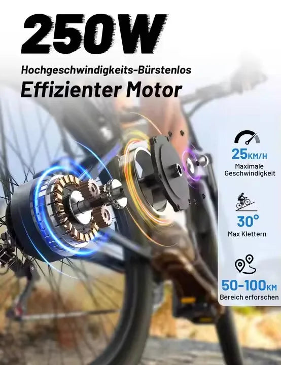 DUOTTS C29 Electric Mountain Bike