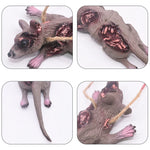 Halloween Horror Hanging Pendant Fake Dead Mouse Bat Broken Hand Feet Halloween Party Home Haunted House Scary Decoration Props