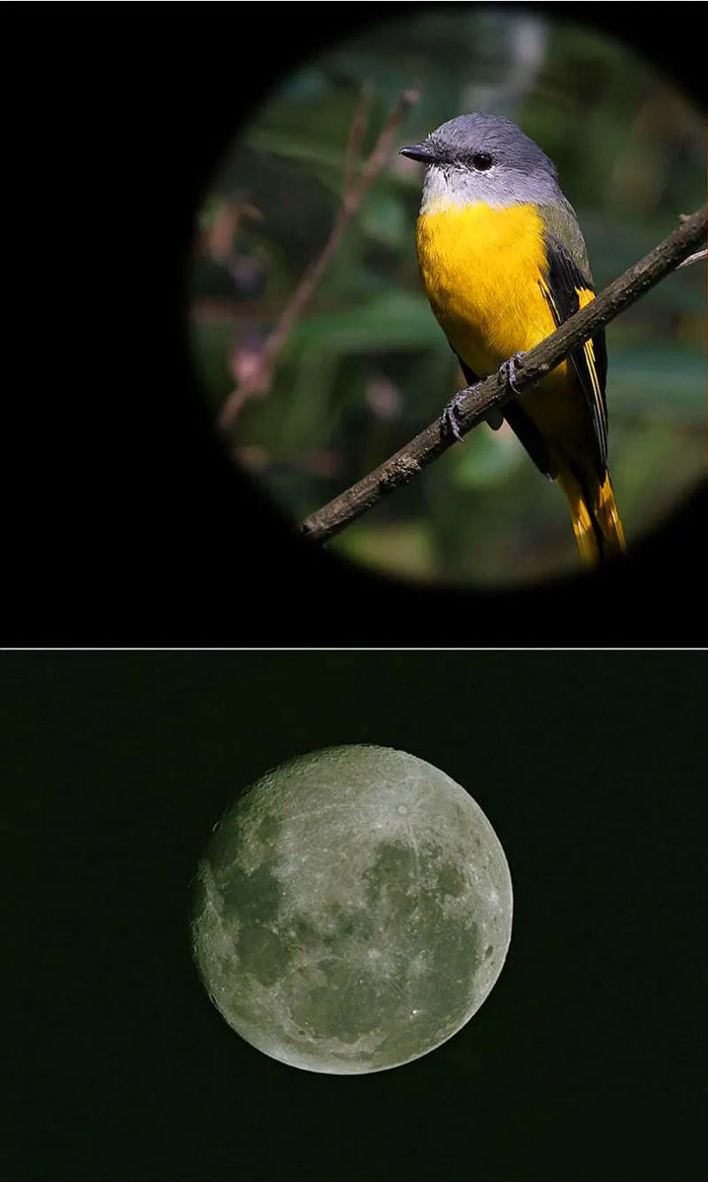 Baigish Monocular Zoom Telescope 8-24x40 HD Powerful Metal Optical Lens Astronomical With Long Range Original Bak4 Russian Black