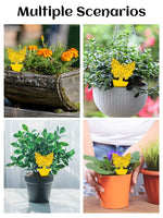 Sae0cf5cc9cca48598d68cbbe691ba6e0d