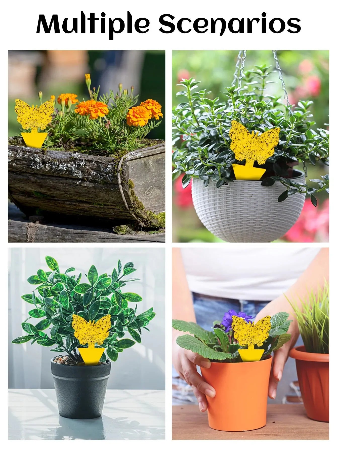 Sae0cf5cc9cca48598d68cbbe691ba6e0d