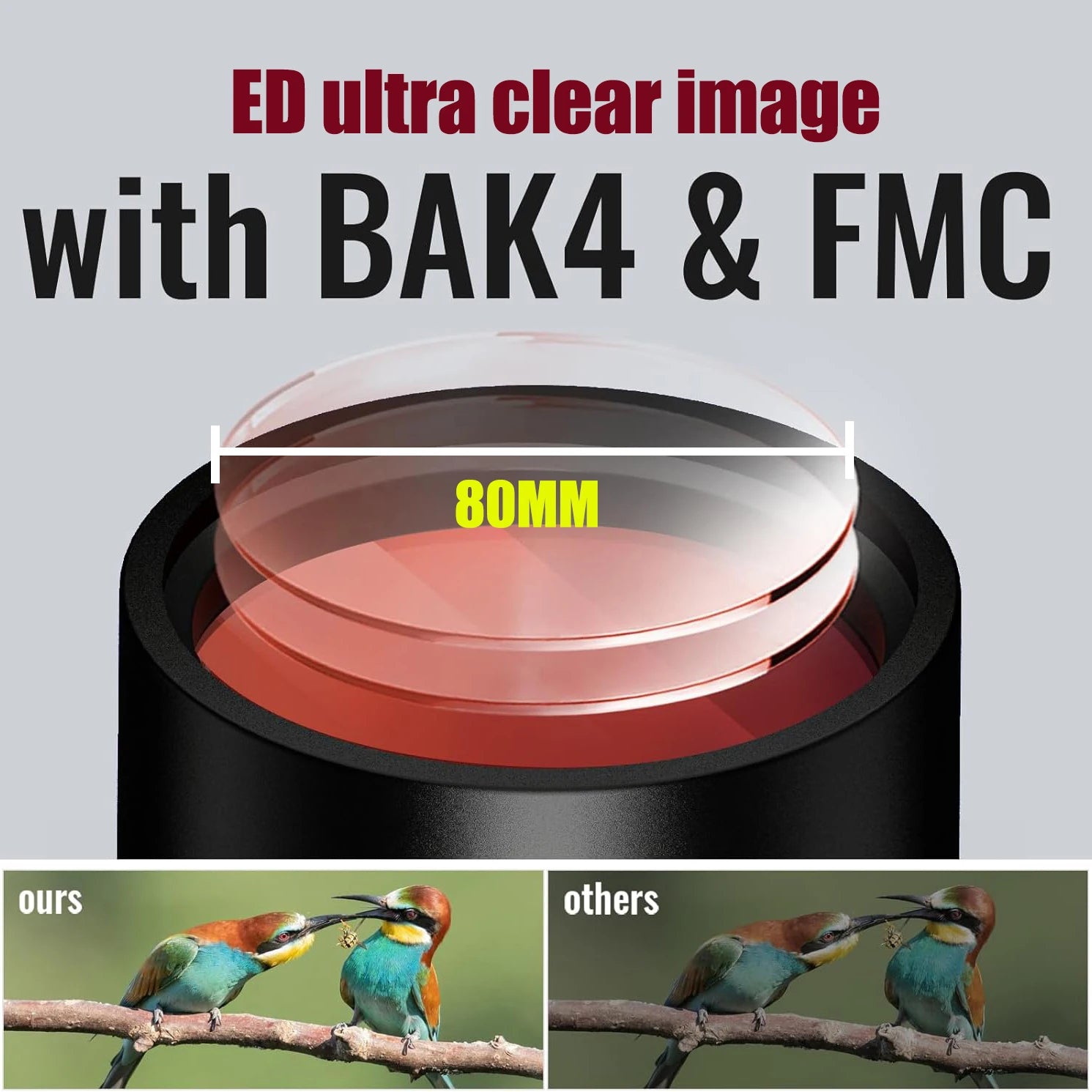 BORWOLF 25-75x80 Telescope Spotting Scope Powerful Zoom Monocular BAK4 Waterproof For Bird Watching Target Shotting With Tripod