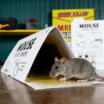 Indoor Strong Adhesive Fly, Mouse, Cockroach, and Ant Trap with Bait High-Efficiency Catcher