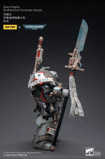 1/18 JOYTOY Action Figure 40K Grey Knight Figures And Mecha Anime Model Toy