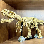 3145pieces Dinosaur Park Fossils Building Blocks Set Adults Assembled Bricks Model Toy Birthday Gifts Compatible With Set 76968