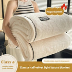 Plush Warm Winter Blanket A Grade Coral Fleece Flannel Soft Thick Bed Blankets for Sofa Single Double Couple Furry Bedspread
