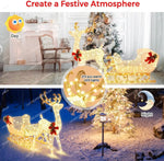 Christmas Lighted Reindeer & Santa's Sleigh, Xmas Lighted Outdoor Yard Decoration