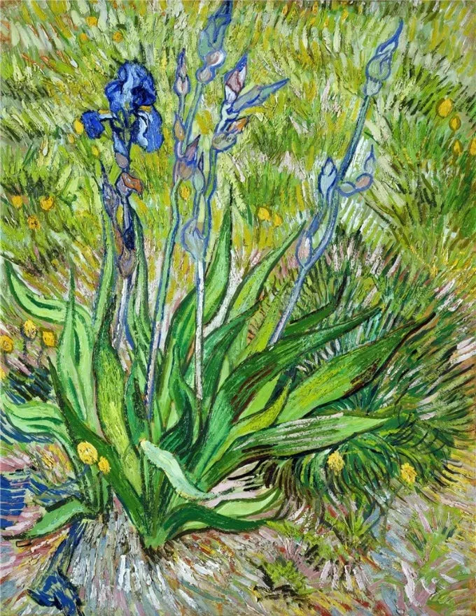 HD Print Van Gogh Masterpiece Poster Abstract Garden Almond Blossoms Starry Night Canvas Painting Wall Picture Room Home Decor