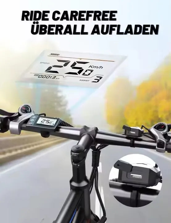 DUOTTS C29 Electric Mountain Bike