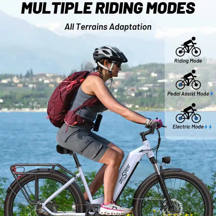 Electric Bike 27.5 Inch 250 W