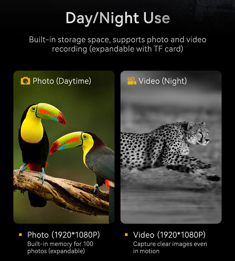 Binocular Infrared Night Visions Device 3W Infrared Telescope 10X Digital 800M Full Dark Viewing Video Record forHunting Camping