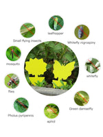 Sf635e35d57de4671a70055b4c547a3265