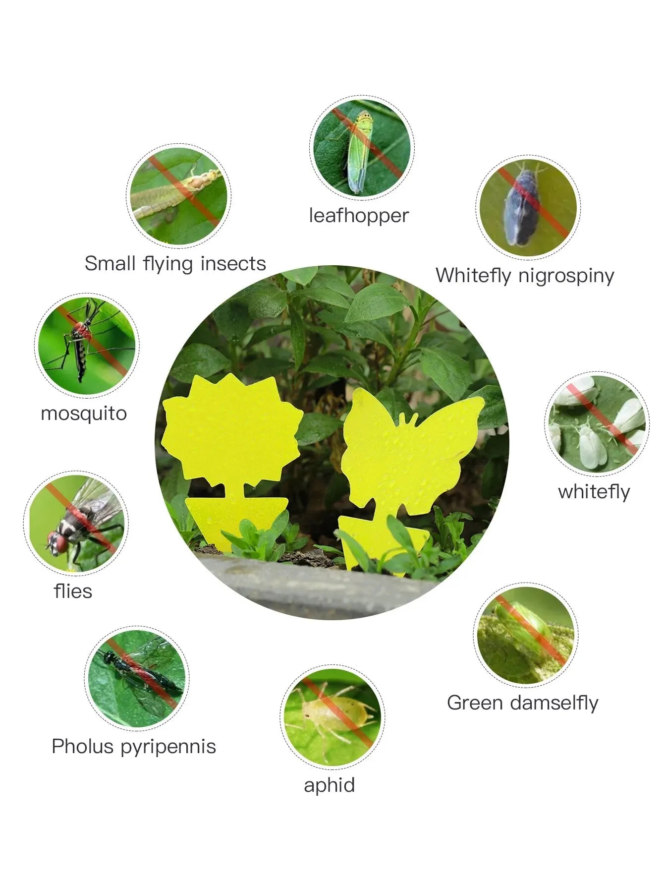 Sf635e35d57de4671a70055b4c547a3265