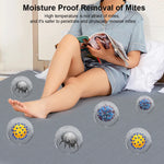 Sf8eb5244936046618304186b91adbcabL