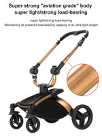 3 in 1 Lightweight High Landscape Baby Stroller Cart Carriage for Newborn Luxury Pushchair