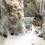 Halloween spider web simulation big black spider decoration bar scene layout props party decoration lawn scenery home decoration