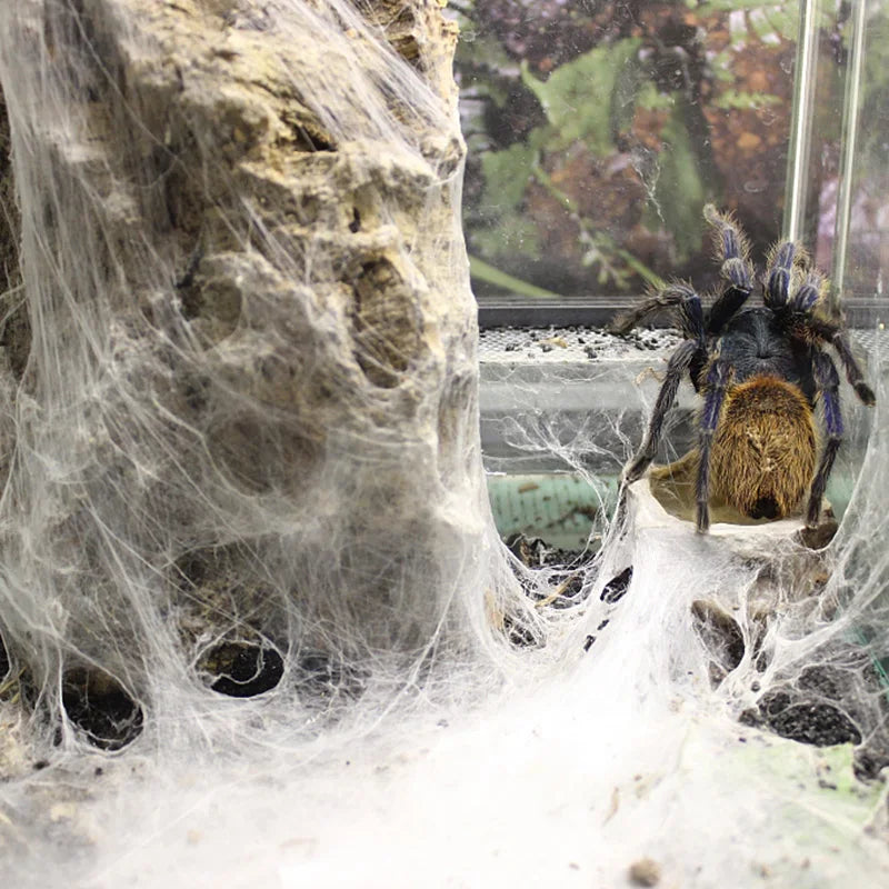 Halloween spider web simulation big black spider decoration bar scene layout props party decoration lawn scenery home decoration